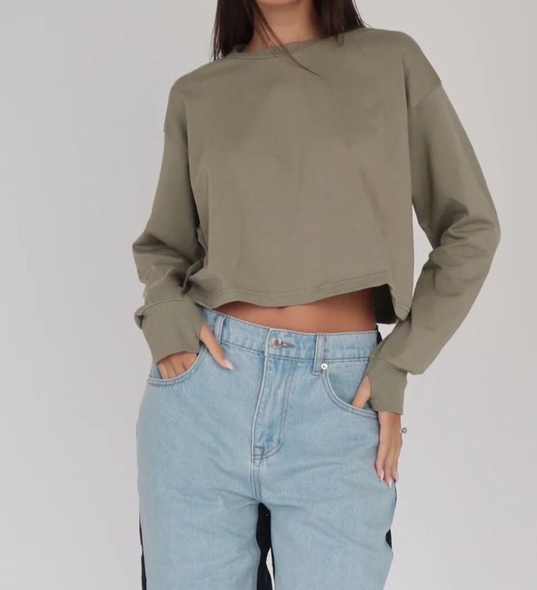 בייסיק לוליטה